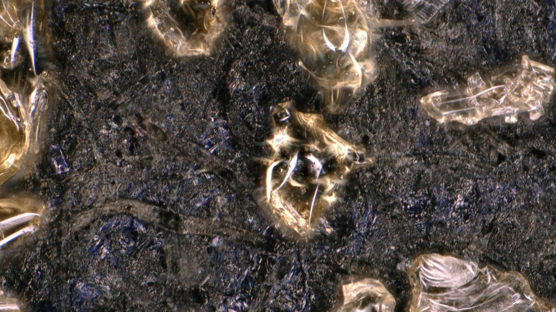 20200212 RW-LF PHO 300