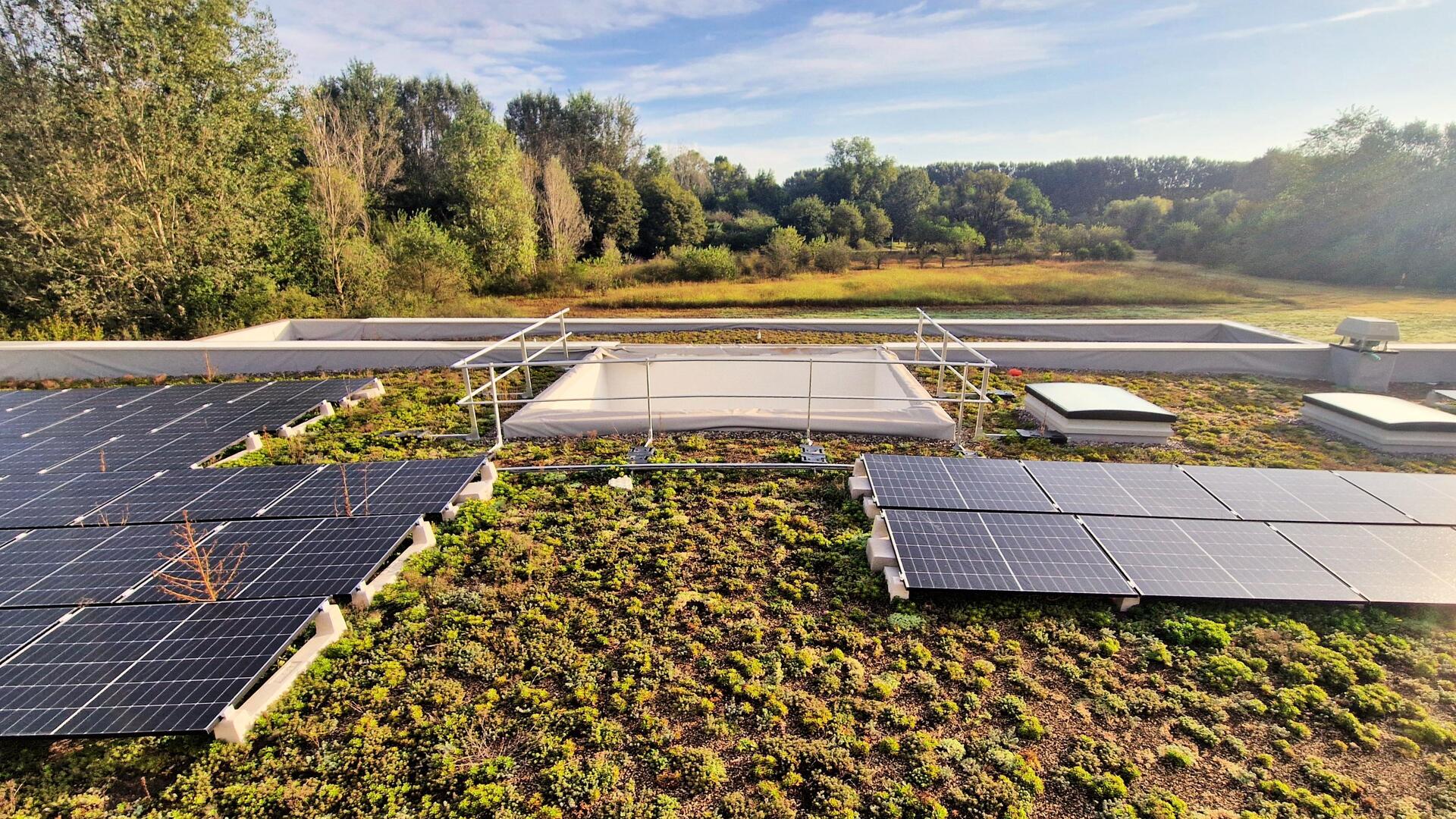 20250107 RW-CS PHO190