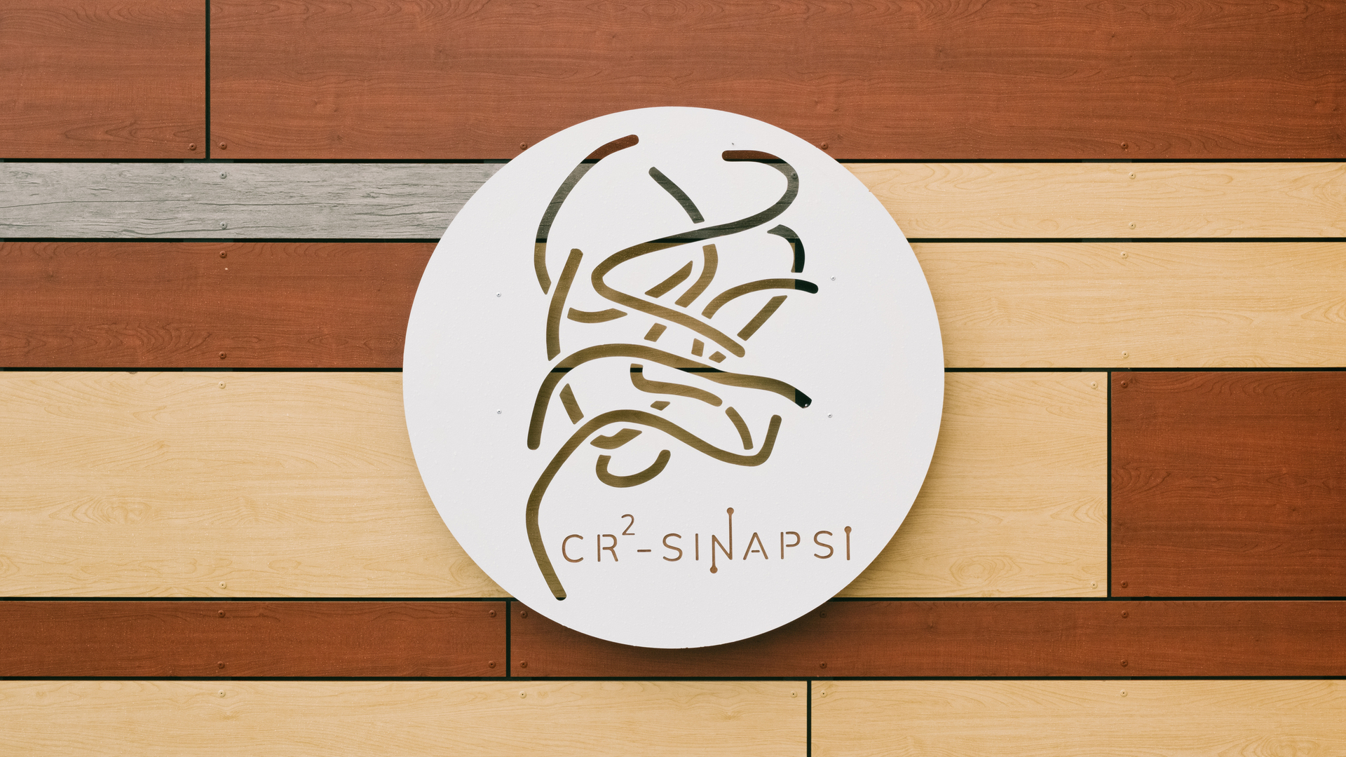 Building construction photo series of the CR2 Sinapsi, Italy. Sandwich panels with stone wool insulation.