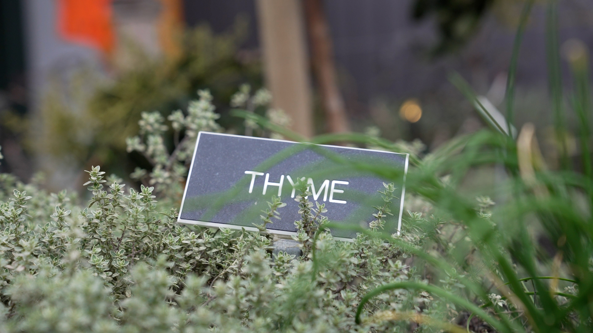 20220322 RW-GMC PHO 1498