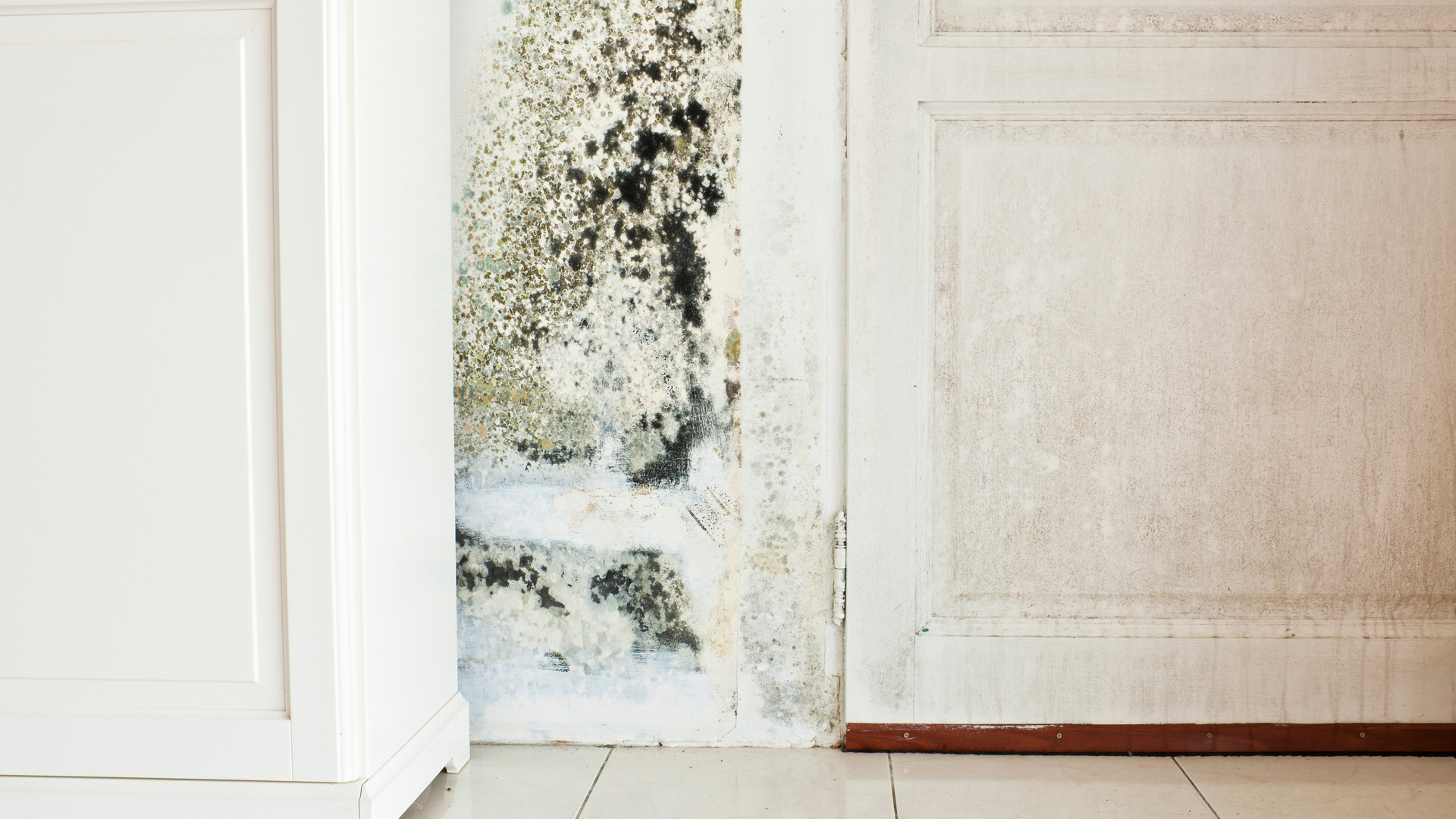 20190708 RWNA PHO 961