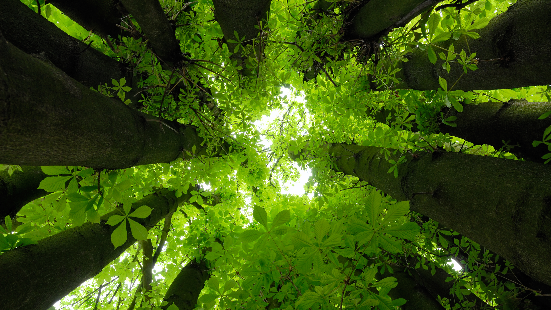 20200820 RW-RF PHO 007352